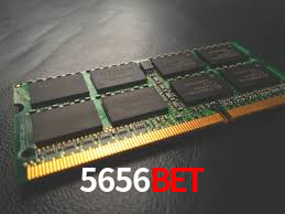 A Experiência Imersiva dos Cassinos Ao Vivo no 5656bet